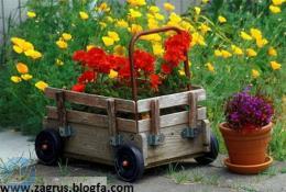 فروش کود حیوانی ، خاک  و انواع ماسه ، فروش گل و گیاه  ( مجری فضای سبز ) 