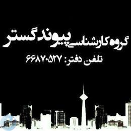 گروه کارشناسان رسمی دادگستری پیوند گستر 