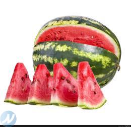 فروش هندوانه صادراتی 