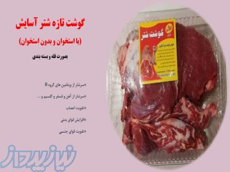 فروش گوشت شتر با استخوان