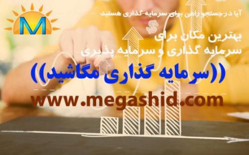 تامین سرمایه با وثیقه ملکی و مشارکت در کلیه پروژه ها  - تهران