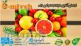 قیمت آنلاین میوه و فروش میوه و صیفی جات 