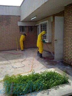 سم پاشی موریانه سوسک،ساس با ضمانتنامه معتبر