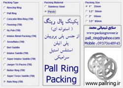 rucshing ring   pall ring 