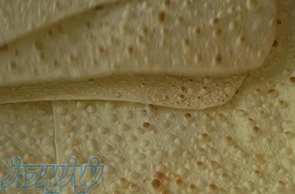 پخش نان لواش نمونه 