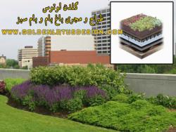 روف گاردن  بام سبز  باغ بامroof garden  - تهران