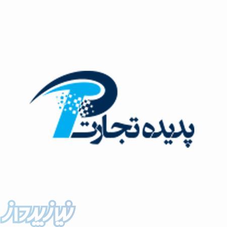 طراحی حرفه ای وب سایت