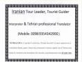 iran tour (tourist) guider business translator interpreter  - تهران