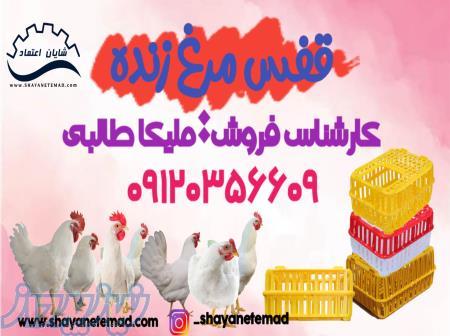 سبدحمل مرغ زنده