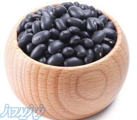 قیمت عمده لوبیا سیاه