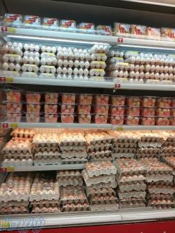 خرید تخم مرغ رسمی (جوجه کشی ) در تمام فصول 