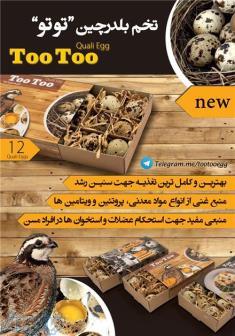 تخم مرغ و بلدرچین توتو 