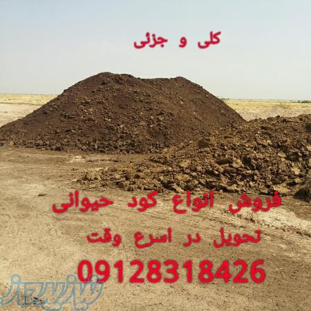 فروش کود حیوانی پوسیده کود دامی - تحویل در محل 