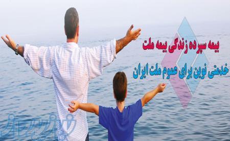 بیمه زندگی و سرمایه گذاری 