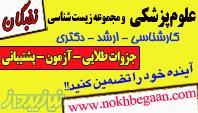 برنامه ریزی و آزمون رایگان تابستانه ارشد علوم پزشکی