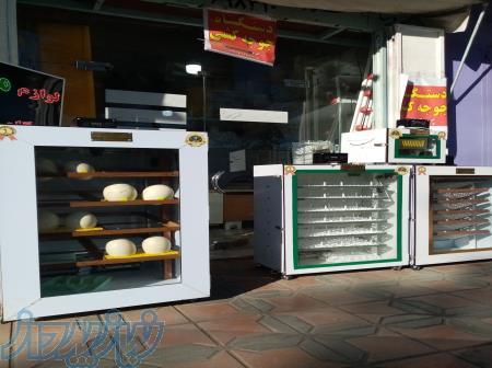 فروش دستگاه جوجه کشی ارزان