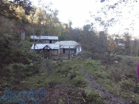 فروش خانه و محوطه در دل طبیعت 