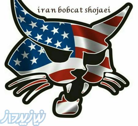 تعمیرات بابکت 