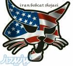 تعمیرات بابکت 