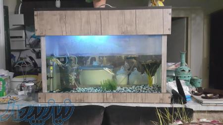 فروش آکواریوم با قاب ام دی اف وماهی و لوازم 