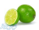 امولسیون لیمو ، طعم دهنده لیمو ، نگهدارنده آبلیمو