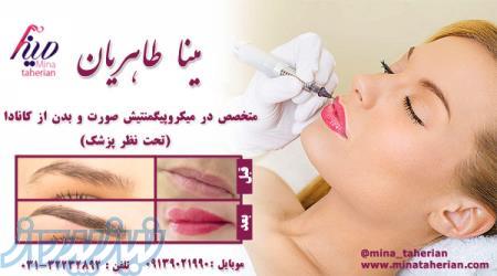 مرکز تخصصی تاتو و میکروپیگمنتیشن در اصفهان 