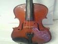 ویولن حرفه ای و اماتور زیر قیمت  - تهران