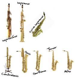 فروش تمامی سازهای بادی(چوبی و برنجی  - تهران