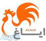 فروش مواد غذایی با نام ایاغ  AYAGH