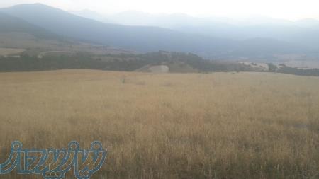 فروش زمین در شمال کشور زیر قیمت 