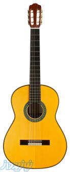 فروش انواع گیتار 