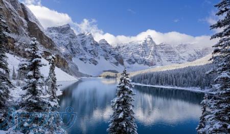 سرمایه گذاری وشراکت جهت رستوران بين راهی
