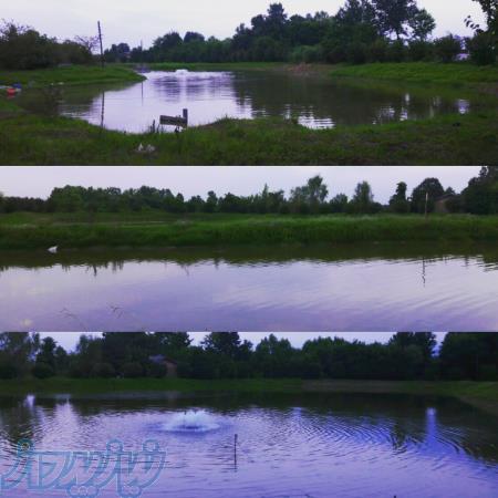 استخر پرورش ماهی 