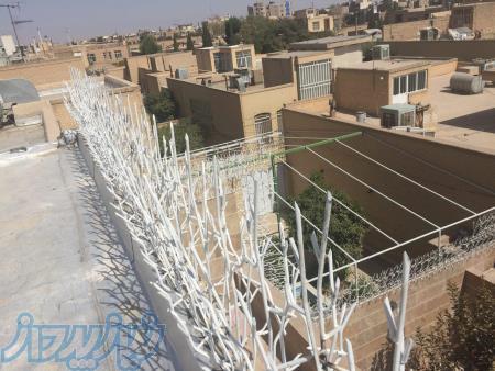 گروه صنعتی فرات