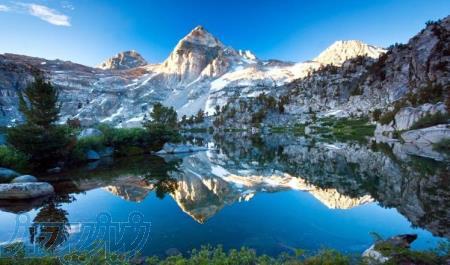 سرمایه گذاری پنجاه تا یکصد میلیون تومانی و استخدام در کاری مطمئن 