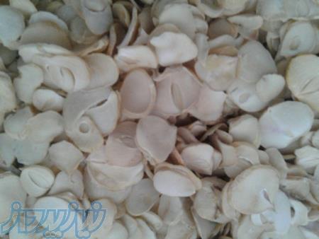 گرانول موسیر اشعه خورده 