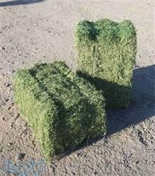 فروش کلش گندم و جو و یونجه بسته بندی 