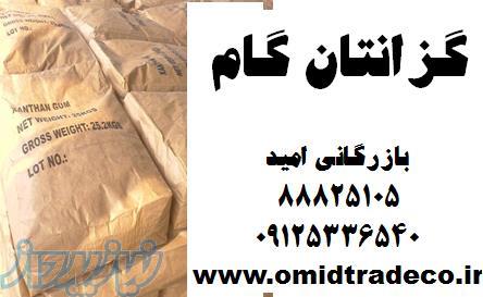 فروش زانتان گام 