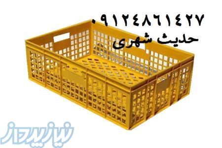 سبدالایشات دام و طیور