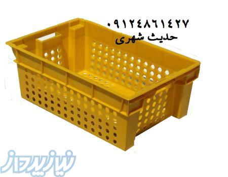 سبد لیمو سبد مرکبات