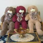 خرسی های بزرگ شاسخین 