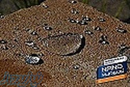 نانو نمای ساختمان 