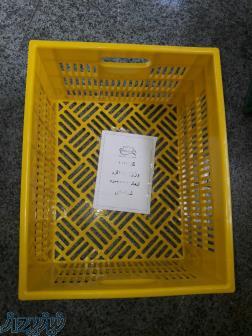 سبد مخصوص فراورده های لبنی