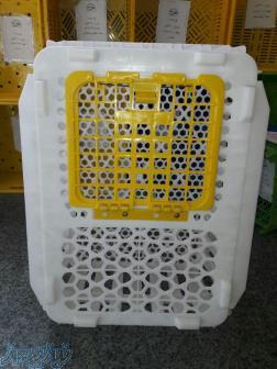 قفس حمل مرغ زنده با قیمت باور نکردنی 