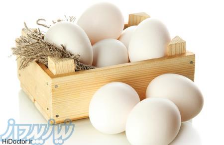 تولید و عرضه تخم مرغ صادراتی و مصرف داخلی 