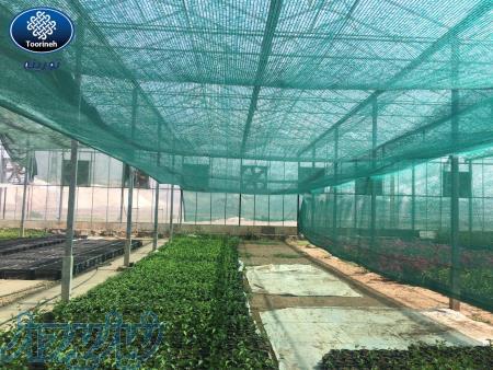 توری سایبان گلخانه ای - شید گلخانه