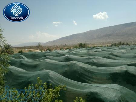 توری ضدسرما (ضد سرمازدگی)