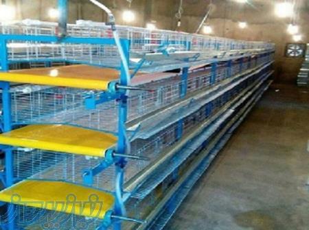 قفس بلدرچین اتوماتیک و نیمه اتوماتیک