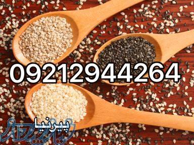 فروش و پخش كنجد پاكستاني و فروش کنجد هندي بدون پوست