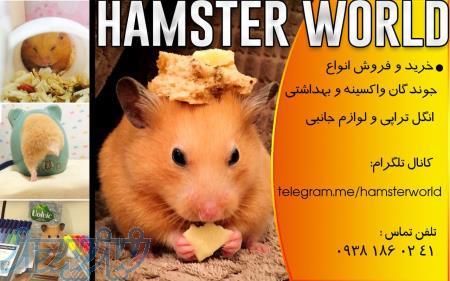 فروش انواع خرگوش،خوکچه هندی و همسترکاملا واکسینه شده!!